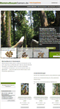 Mobile Screenshot of mammutbaumsamen.de